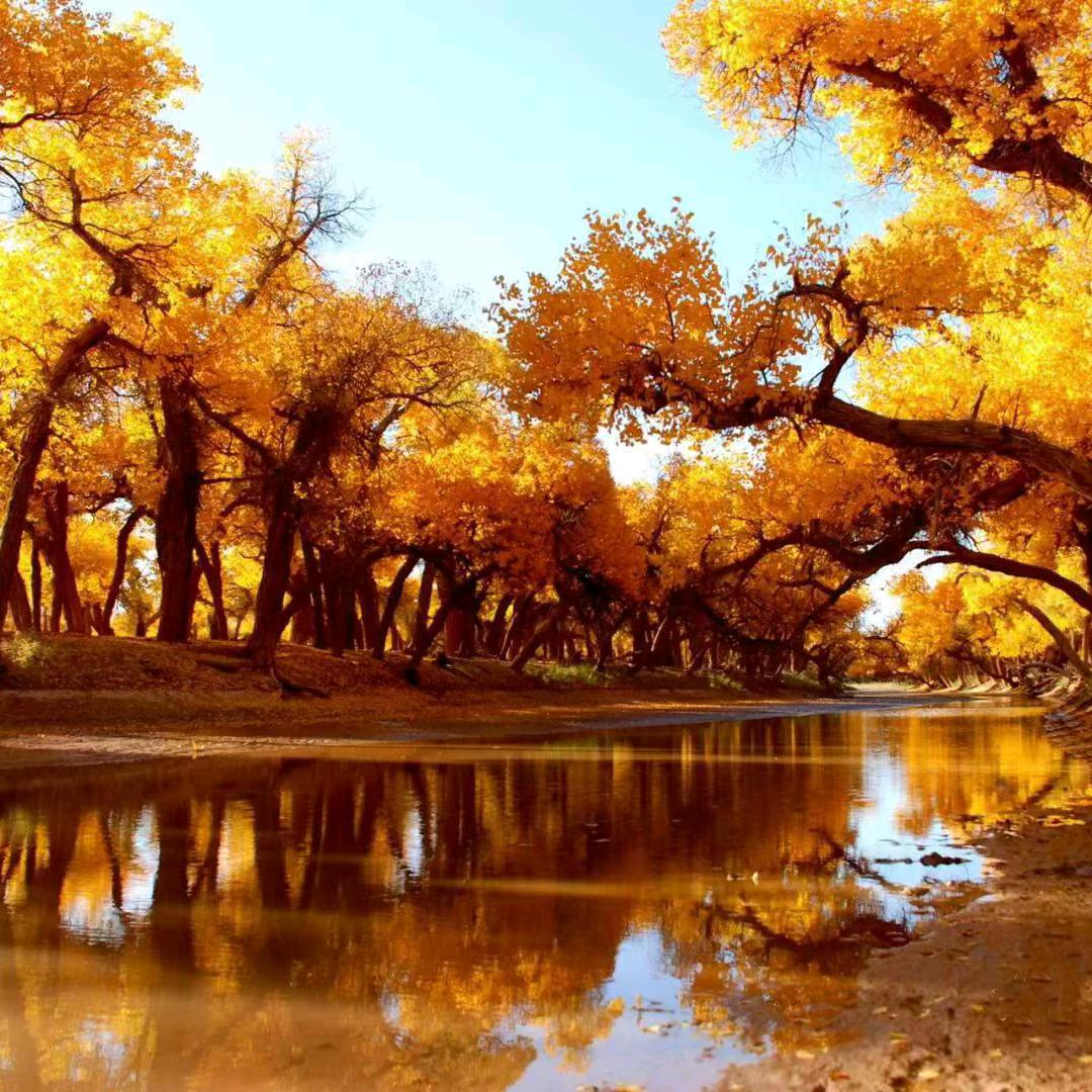 (｡♡‿♡｡重启人生(｡♡‿♡｡)