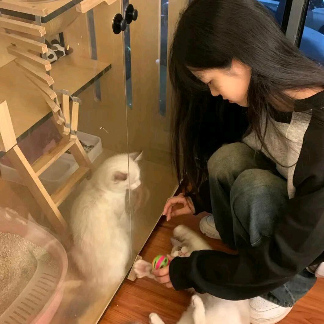 烈焰花