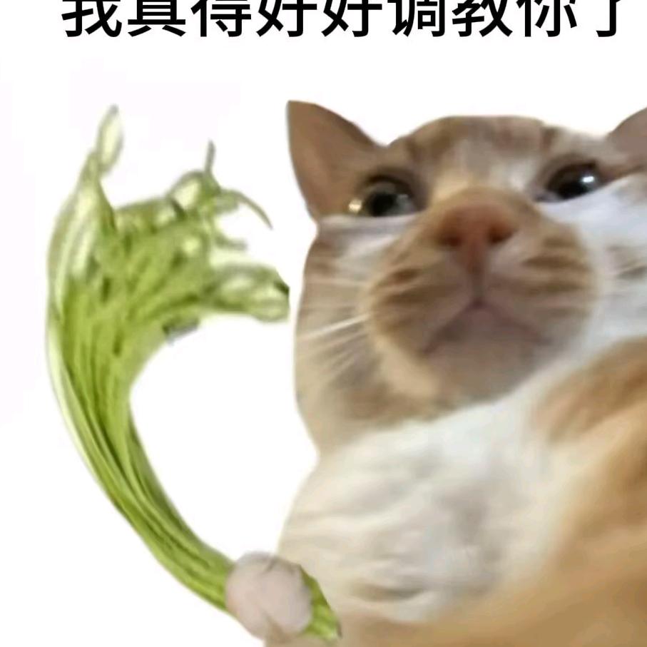 夜雨
