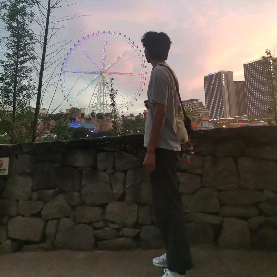 非菲飞