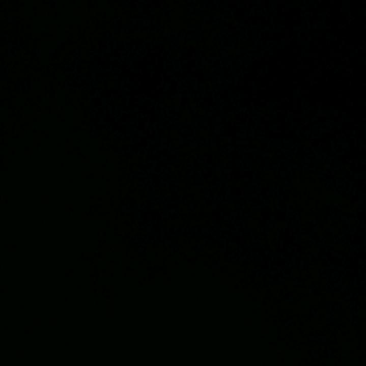 鹤顶红的温柔995