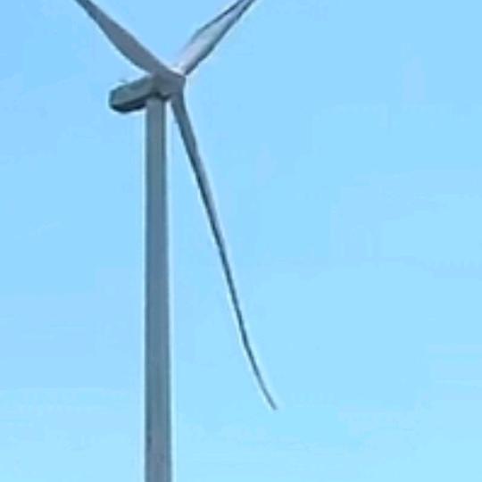 时间就是人生答案。
