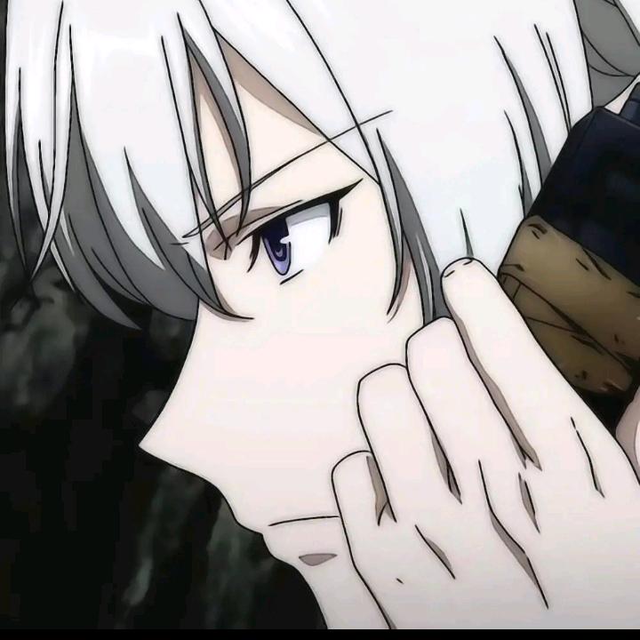 疯狂橱窗