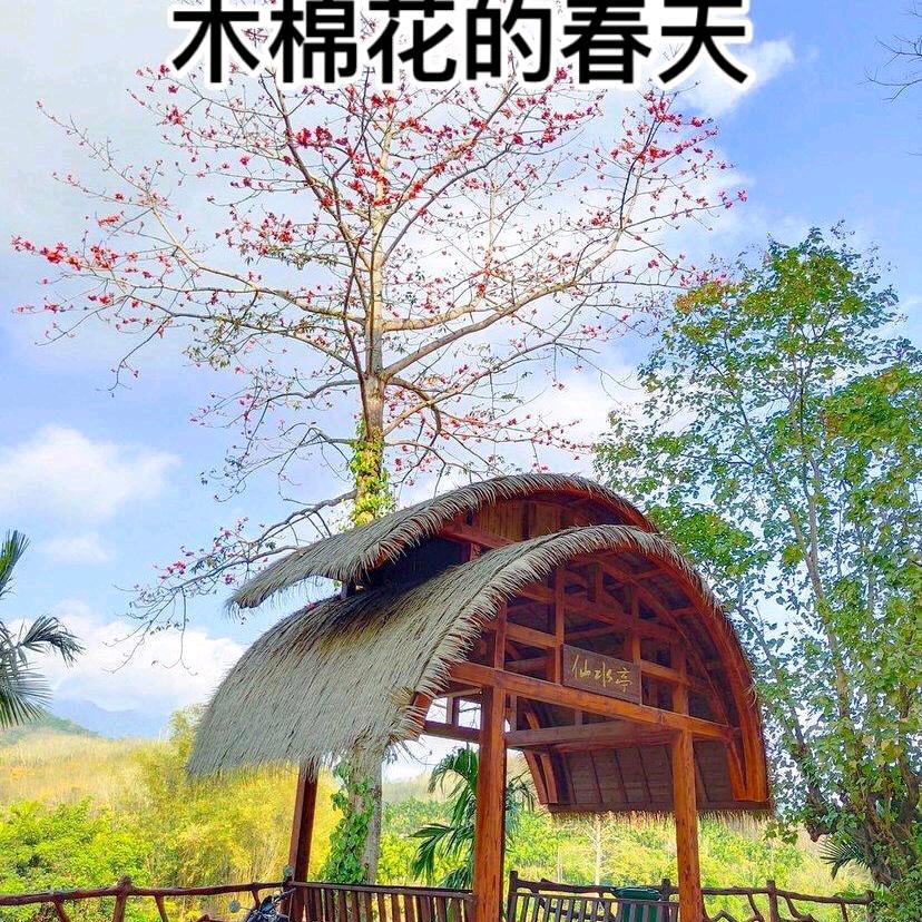 家在东方