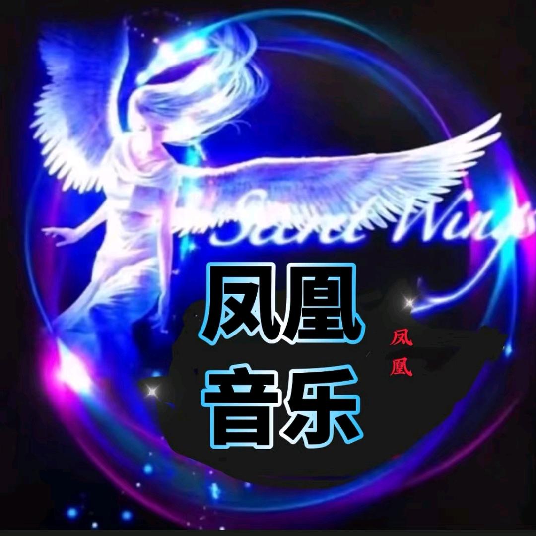 鳯凰音乐🎵