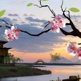 随心