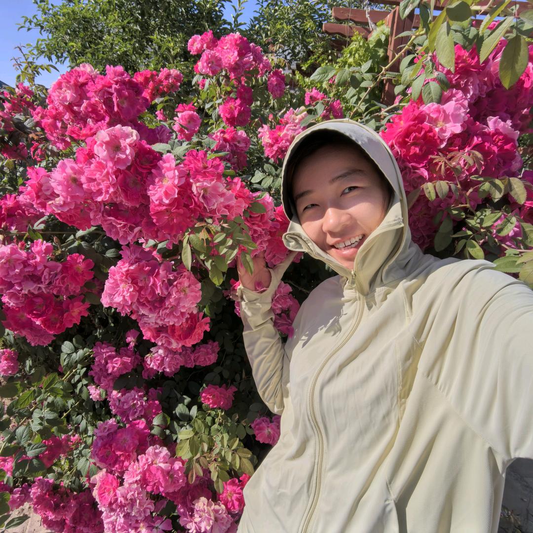 武晓晓-博乐天鹅采棉机销售