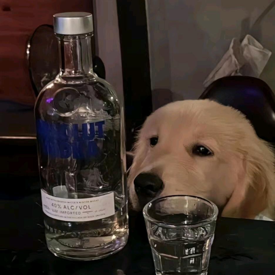 你算哪块小饼干