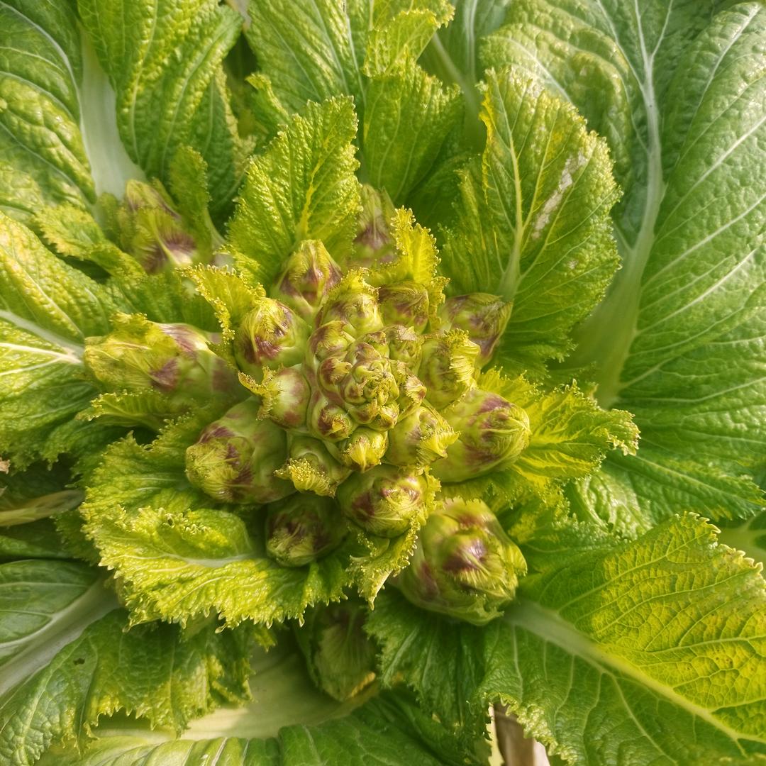 蓝天用户9594271259964