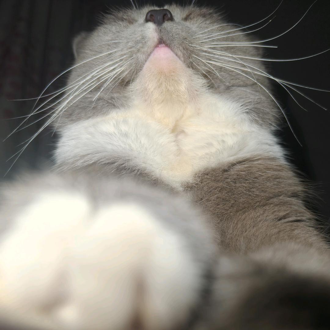 小余＼(◎o◎)／！