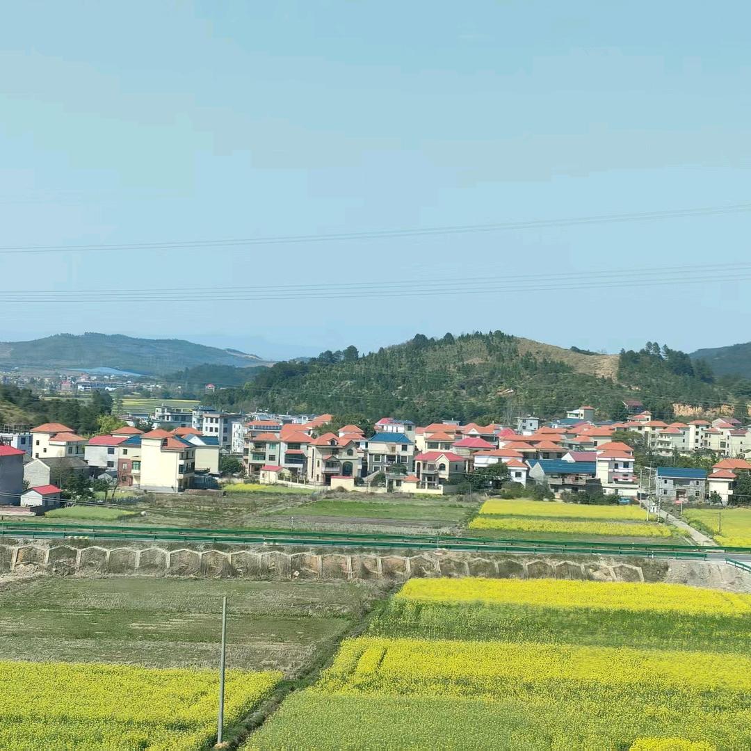 相识