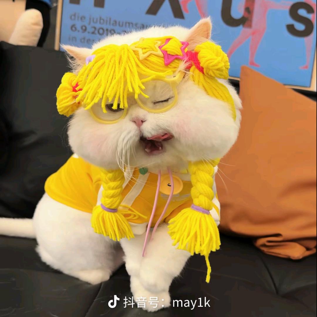 起风了🍃🧑🏼‍🚀ᩚᴴᵇʸ