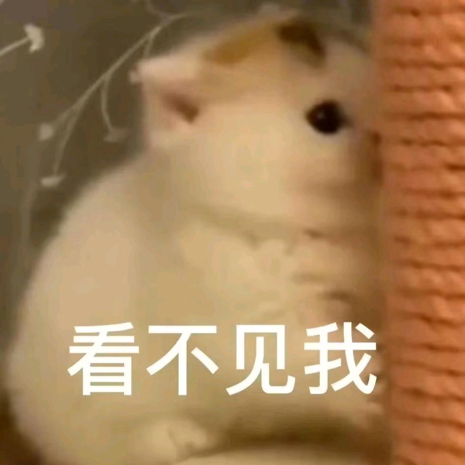 剑苍茫