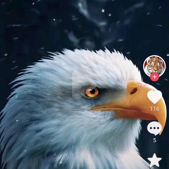 邯郸至上家居全屋定制@小帅