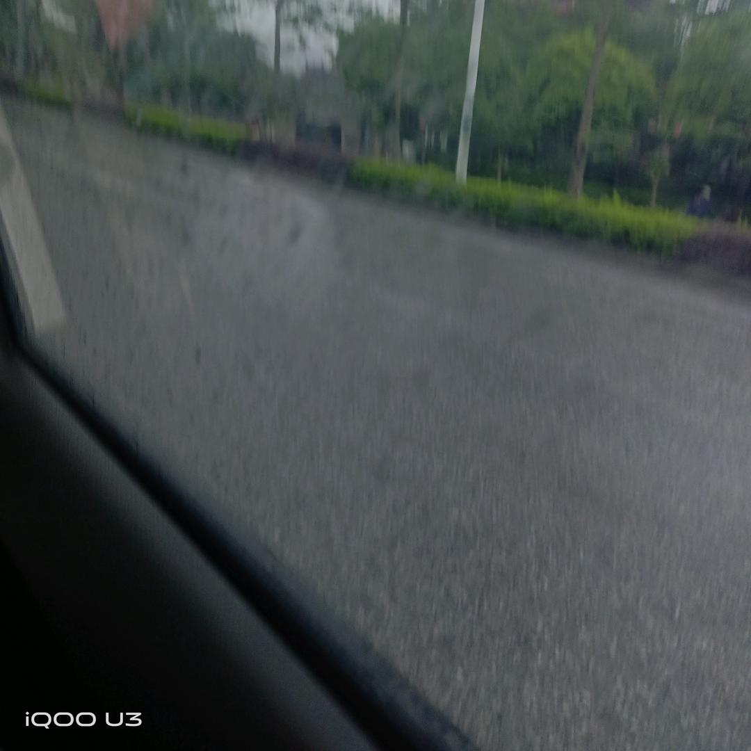 埋葬