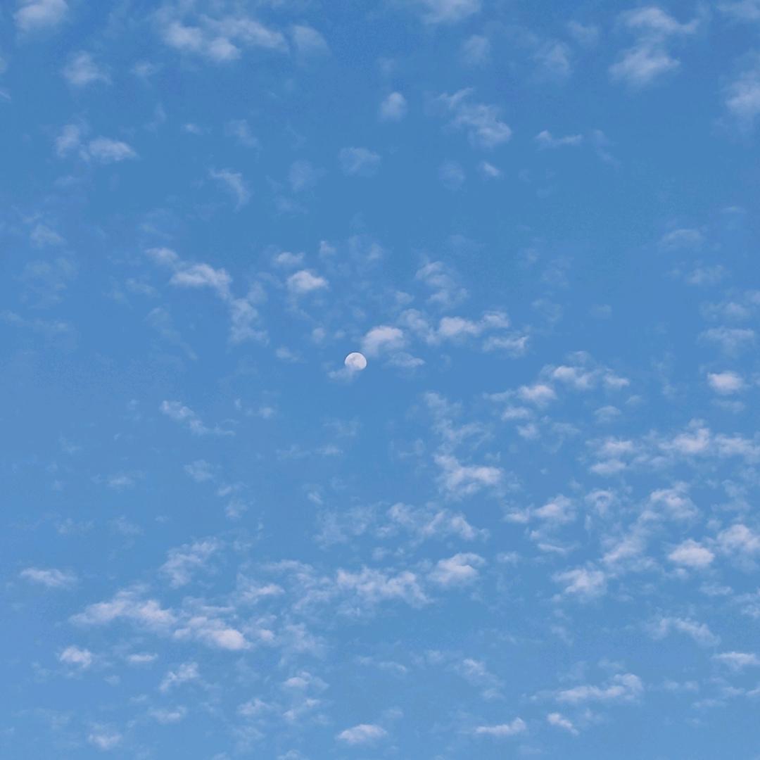 木呵呵头像