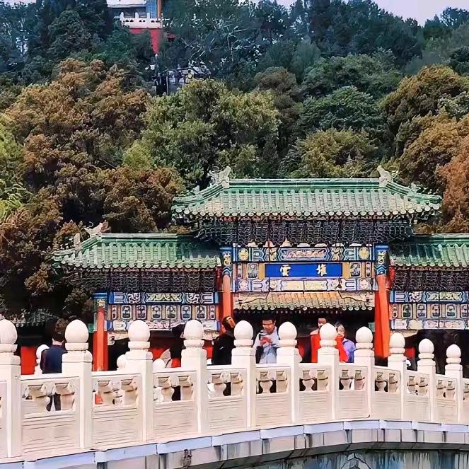 橙橙@