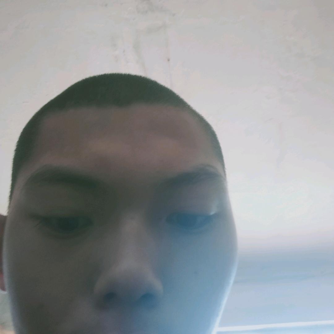 曹智豪