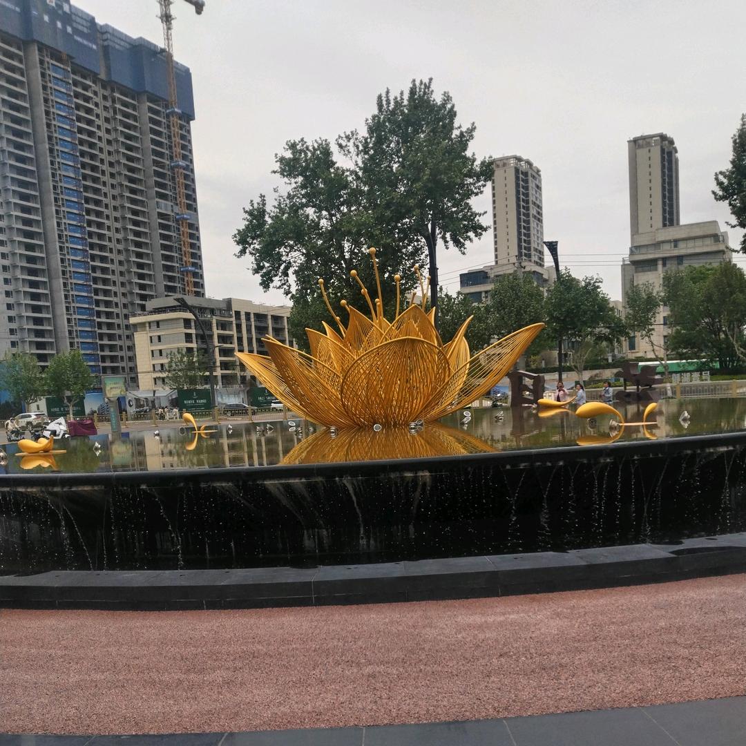 龍哥🌺