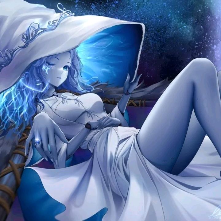 杀了熊猫我就是国宝