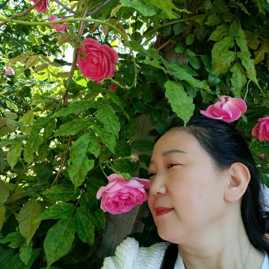 大年姐