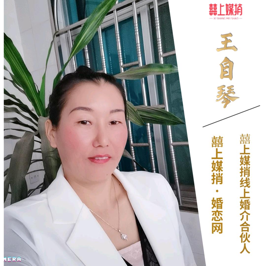 琴琴