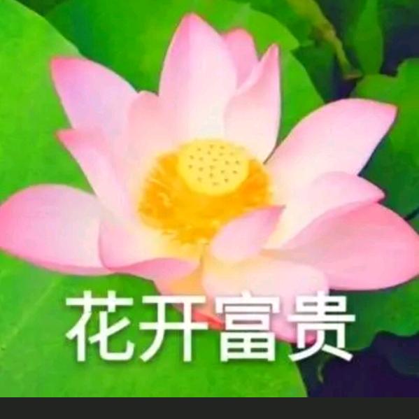 姗姗