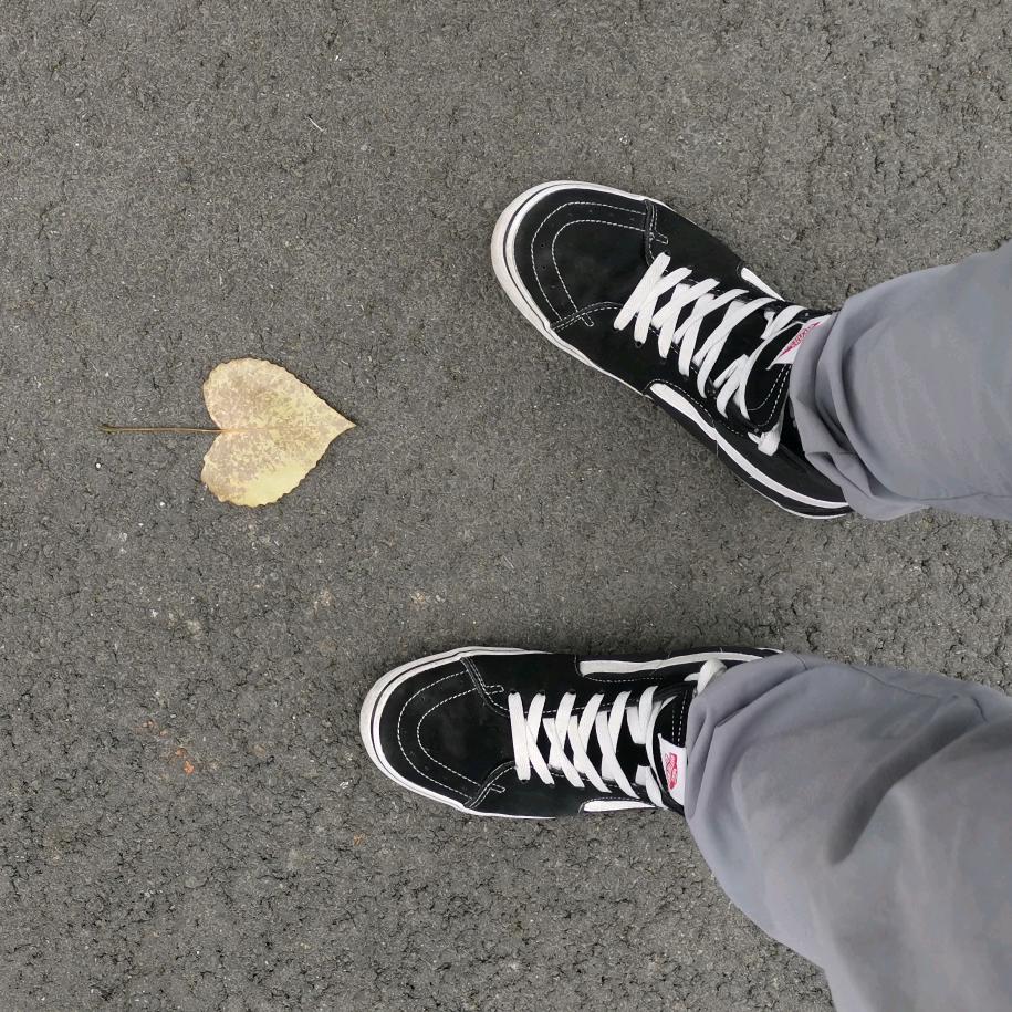 25岁从零开始学滑板（苦练Ollie版）