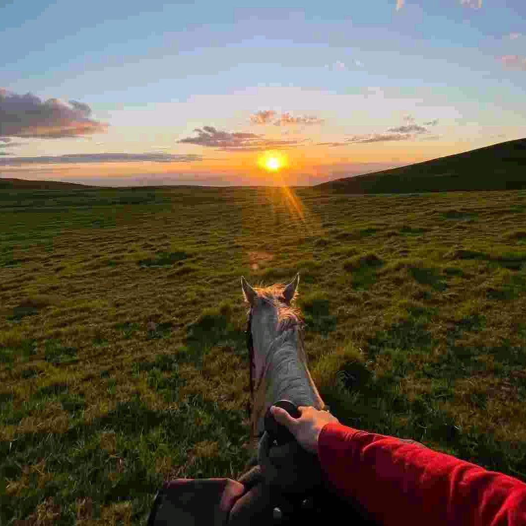 ༻҉ꦼ如ꦿ҉᭄果ꦼ҉༺