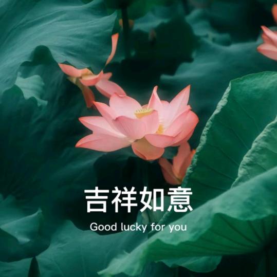 吉祥如意