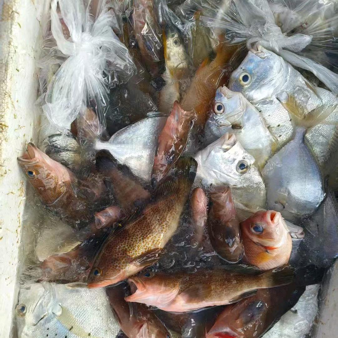 安兴水产