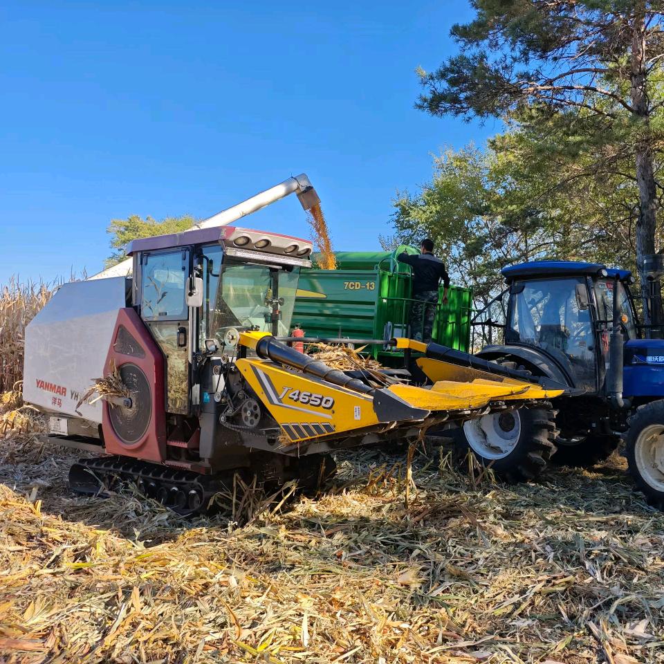 大地理发师  托尼刘