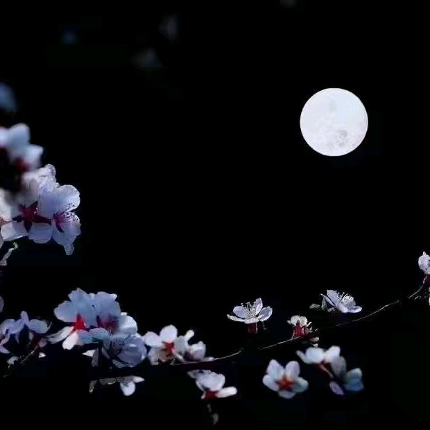 ཟླ་ཟེར།