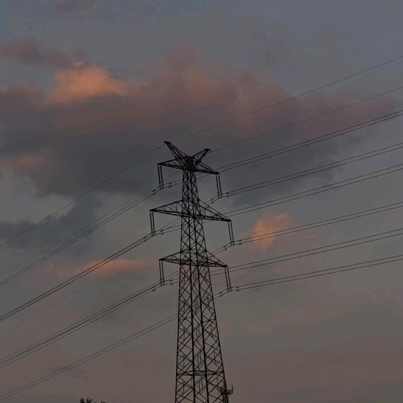 露露的陆是什么路