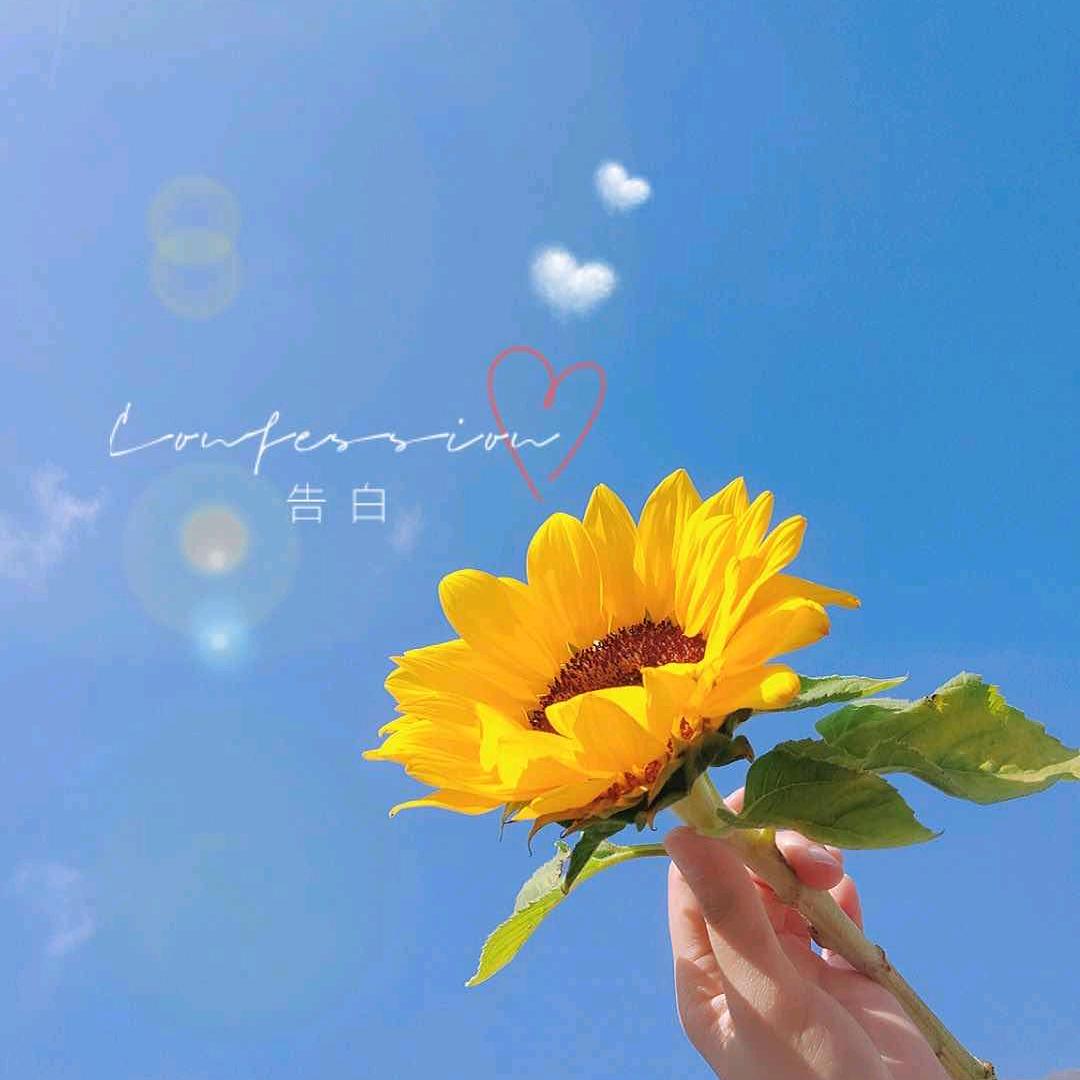 ◤那年夏天ぜ◢