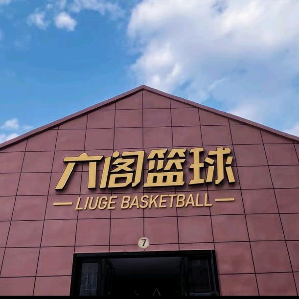 襄阳六阁篮球训练营