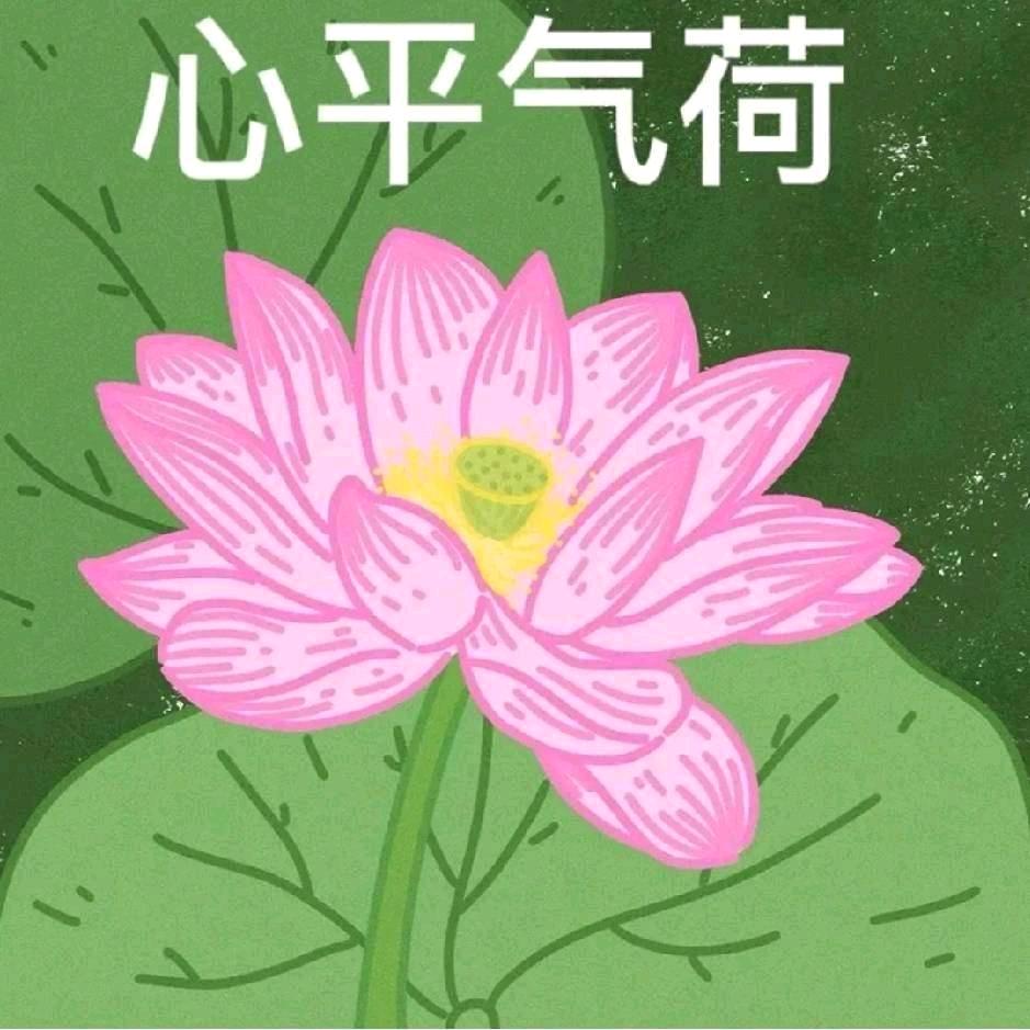 午夜伤心玫瑰