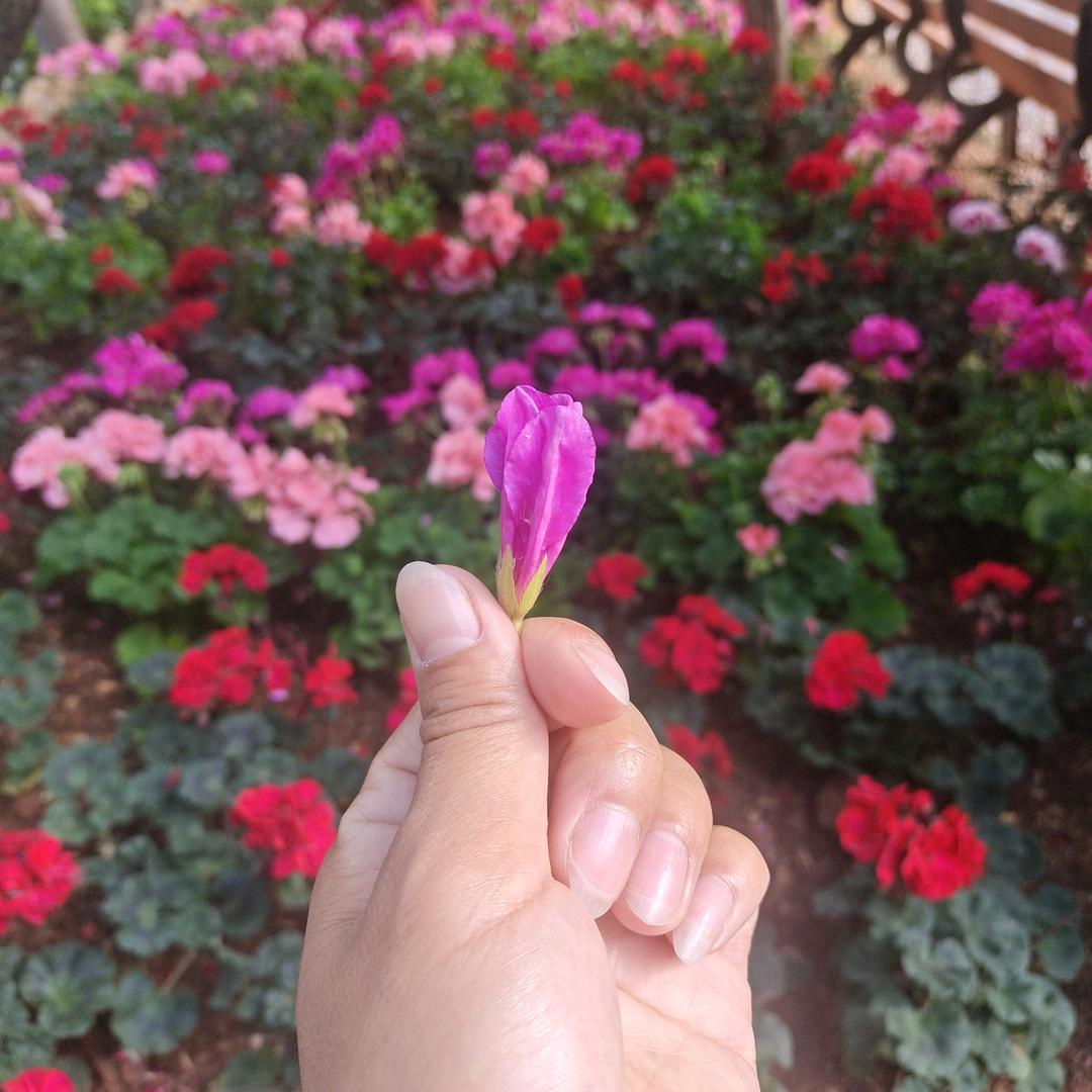 泡沫