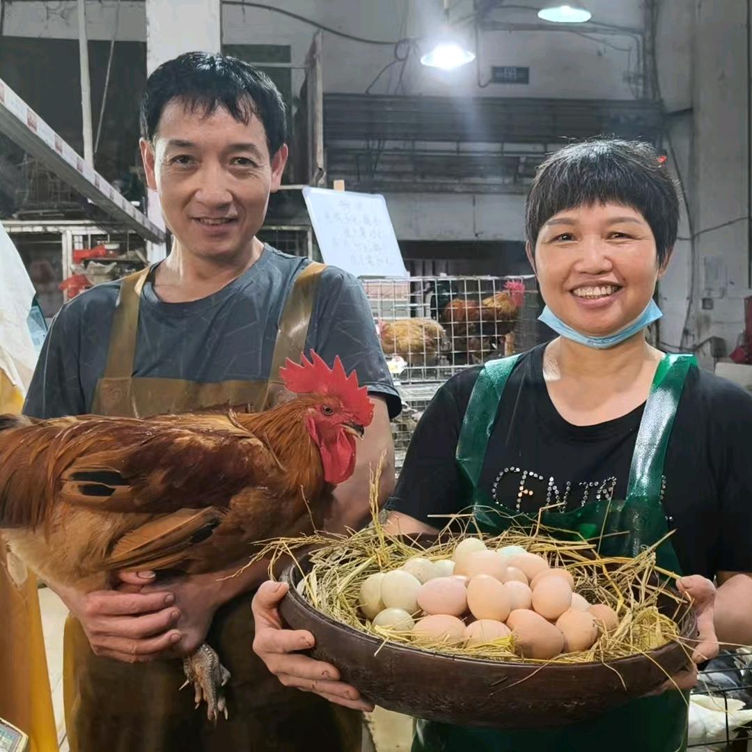 蛋婆家禽店
