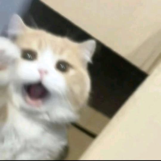 一一