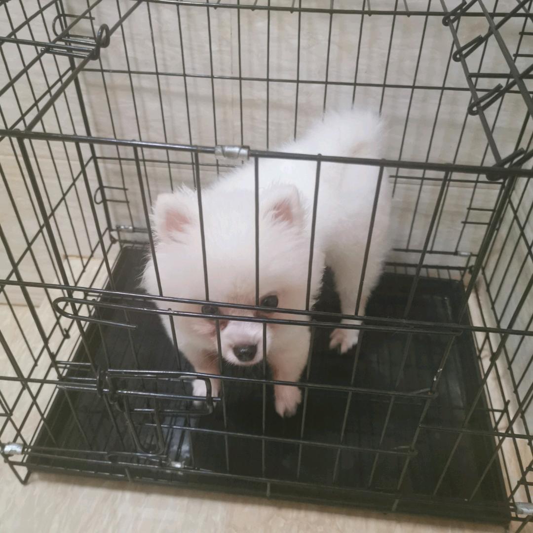豆芽哥哥