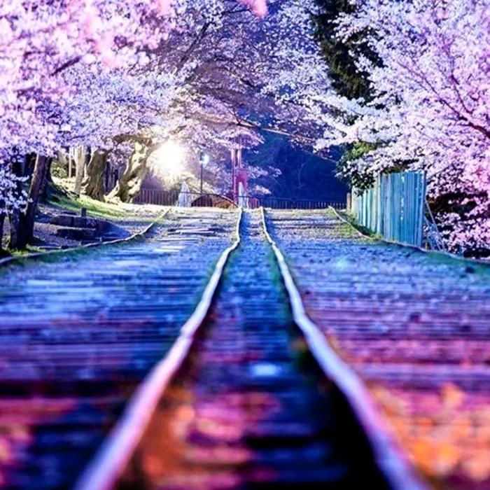 ༄♥༅洋洋得意༇♥༇