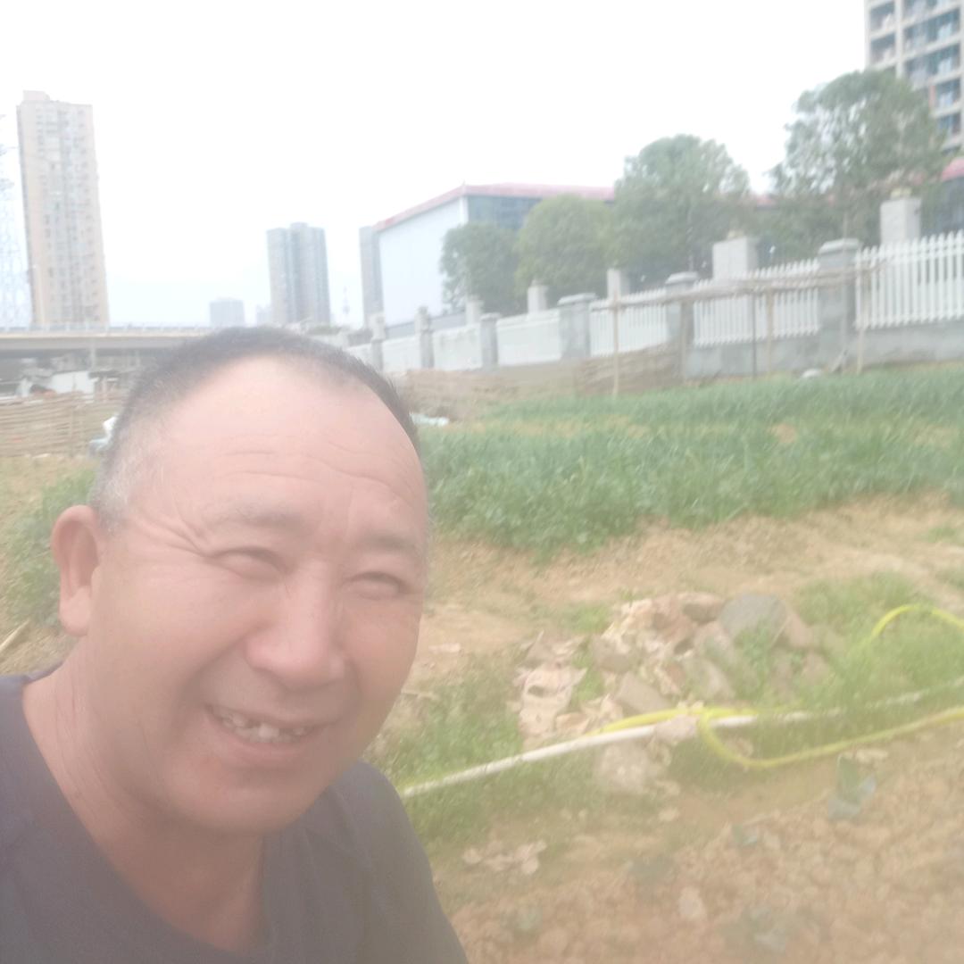 农民之声