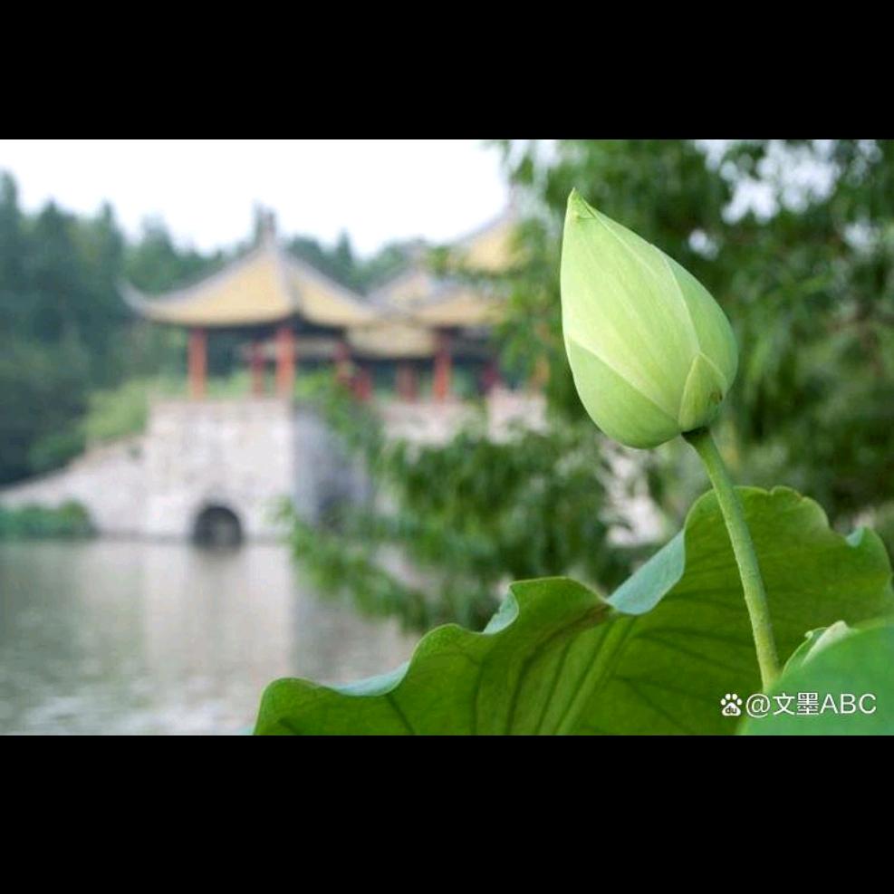 🇨🇳乘风破浪