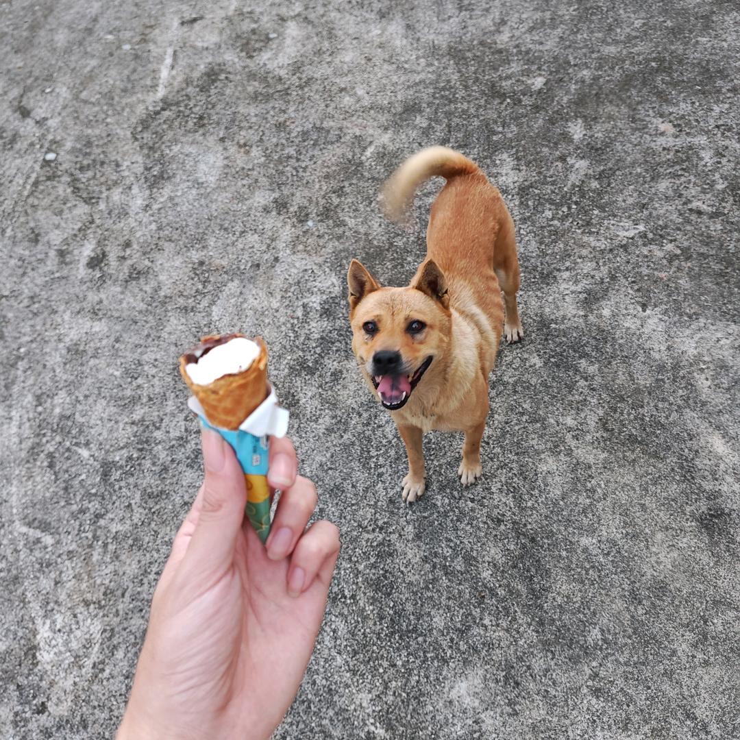 愿我会揸火箭
