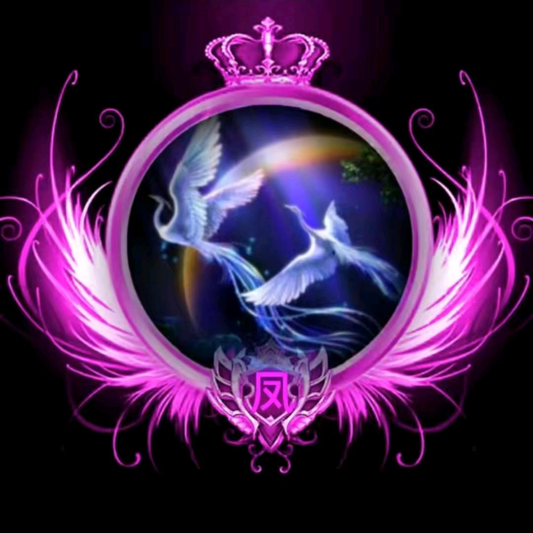 涅磐重生，重生！！