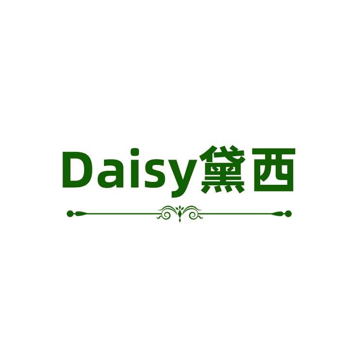 黛西Daisy轻奢饰品