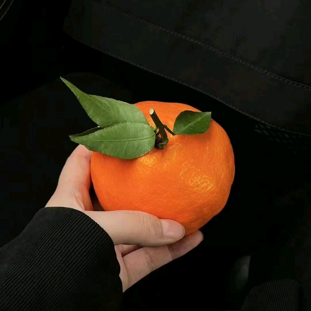 臻甜（涌泉蜜桔）