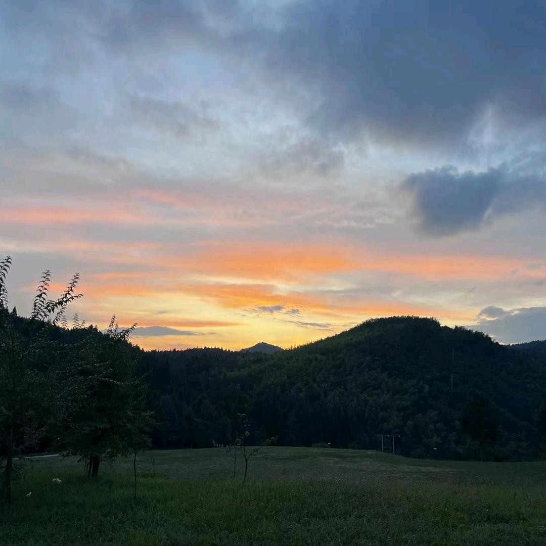 隔壁王叔叔ʚ◡̈⃝ɞ