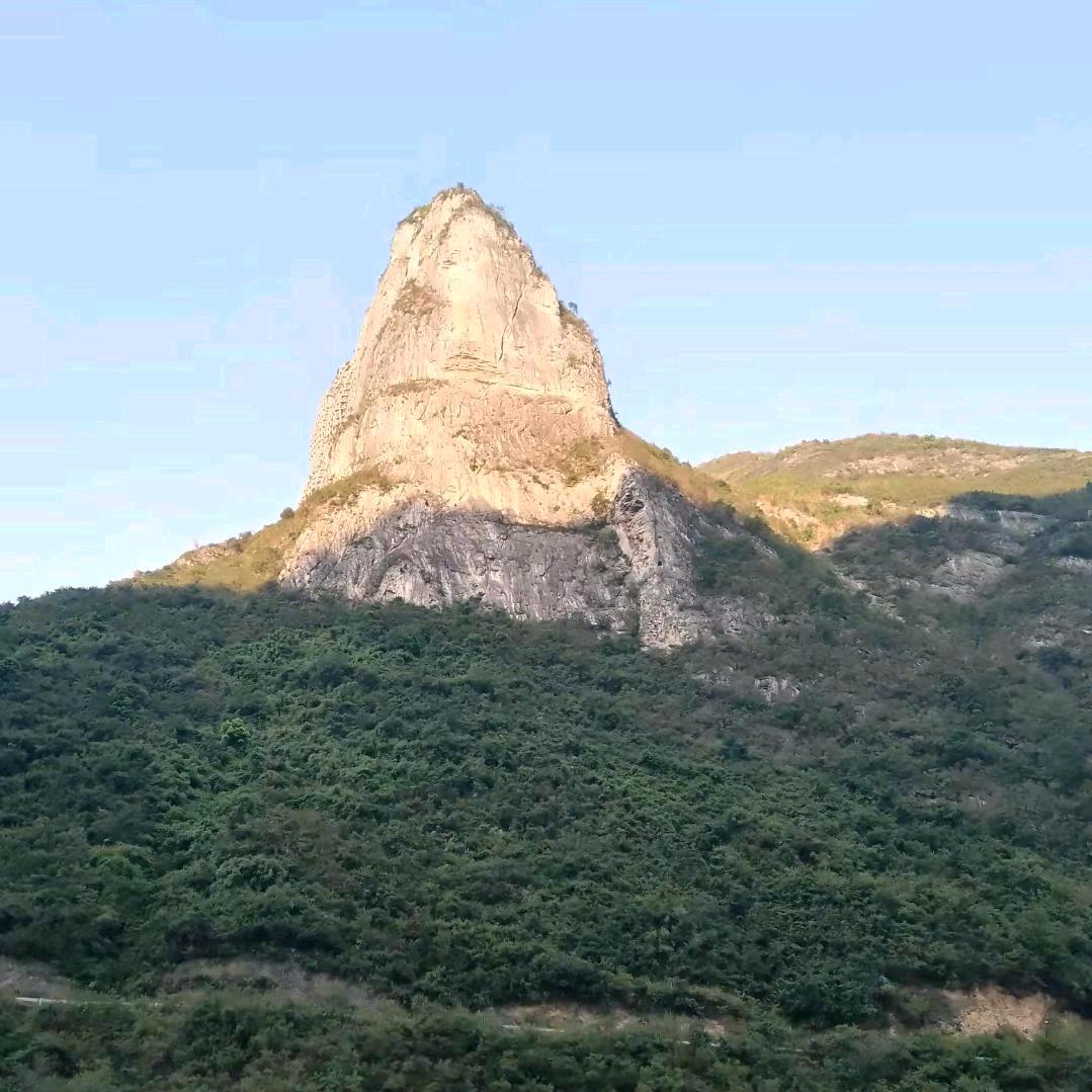 森哥